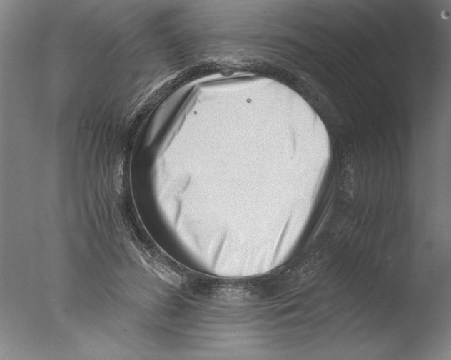 X0000076050596200610201921