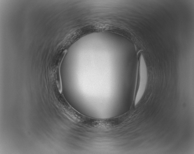 X0000076050601200610201921