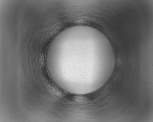X0000076050605200610201921