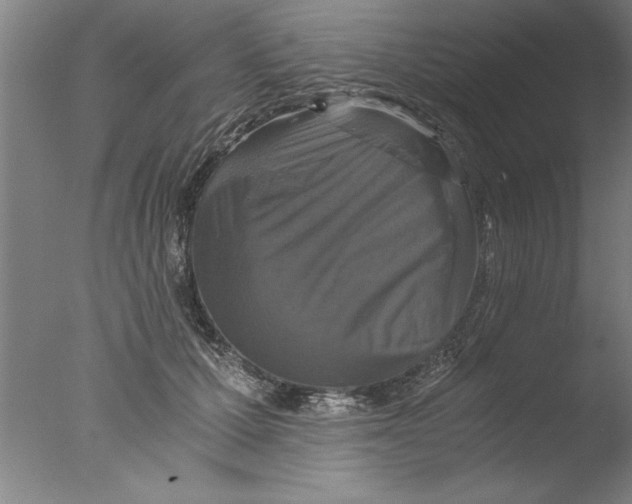 X0000076050607200610201921