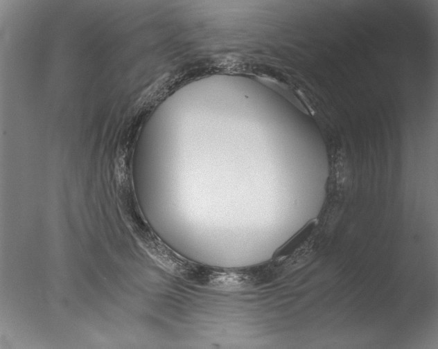 X0000076050611200610201921