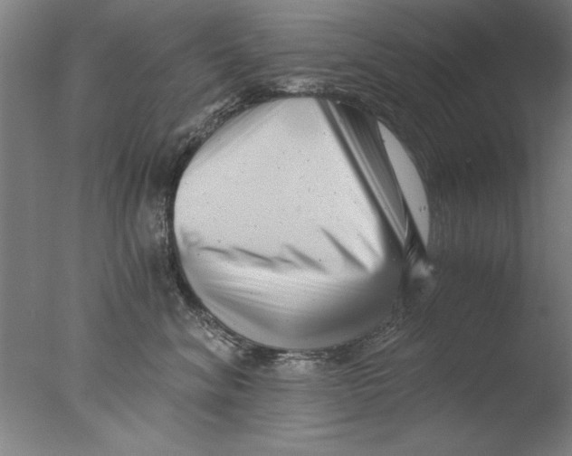 X0000076050620200610201921