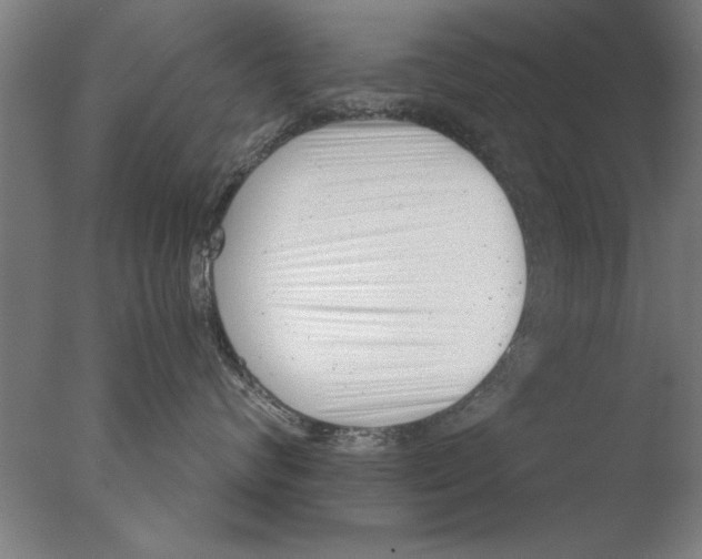 X0000076050624200610201921