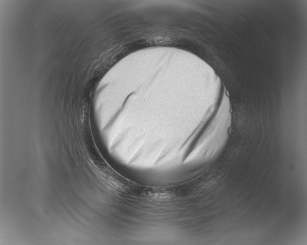 X0000076050645200610201920