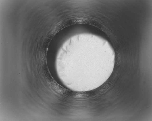 X0000076050657200610201920