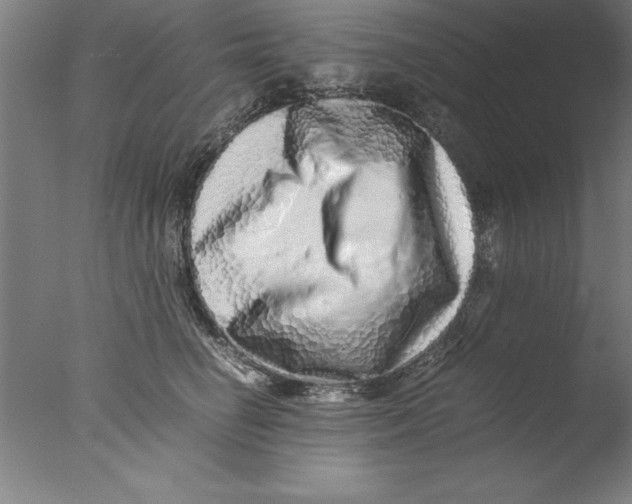 X0000076050662200610201920