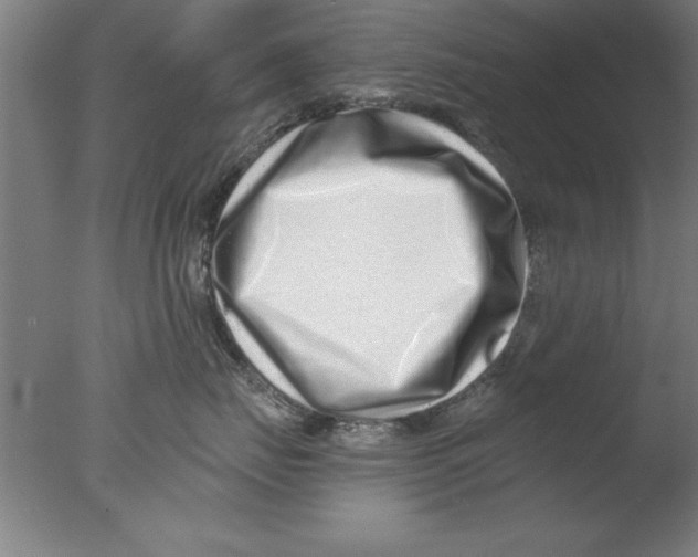 X0000076050671200610201921