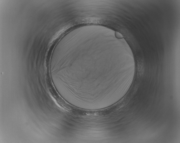 X0000076050674200610201920