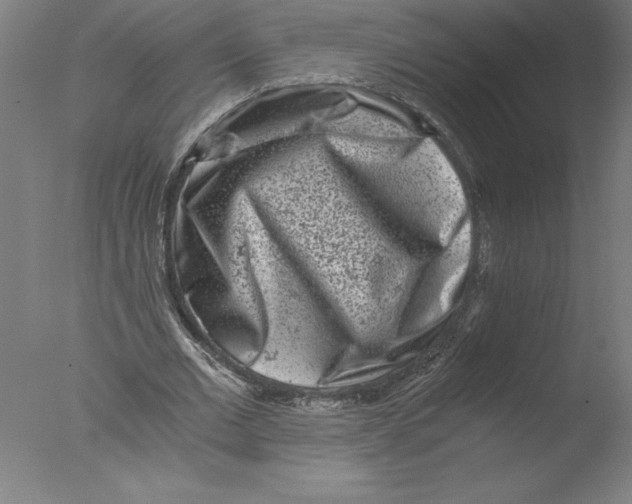 X0000076050677200610201920