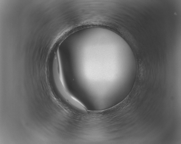 X0000076050680200610201920