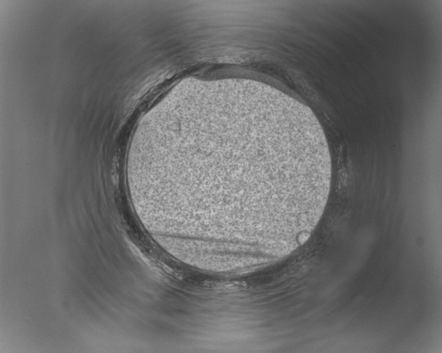 X0000076050683200610201920