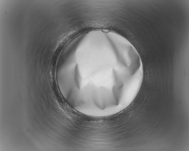 X0000076050688200610201920