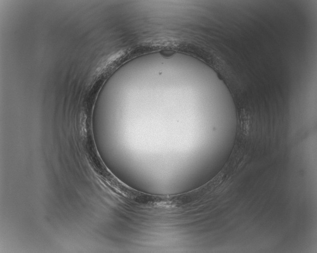 X0000076050692200610201920