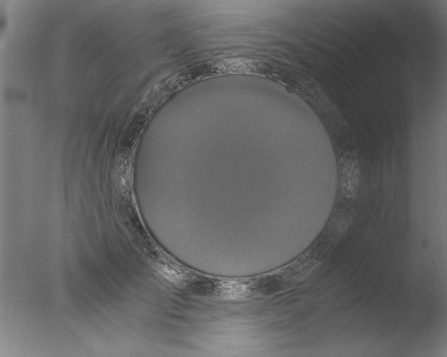 X0000076050701200610201919