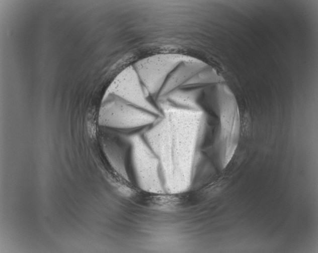 X0000076050719200610201919