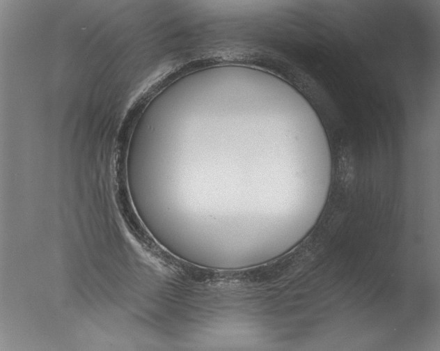 X0000076050730200610201918