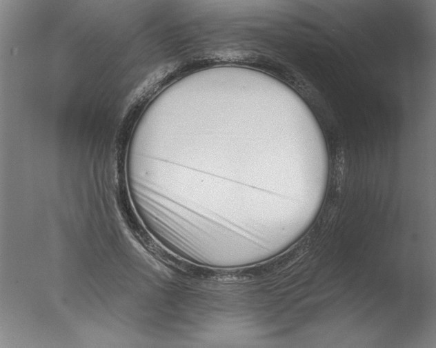 X0000076050734200610201918
