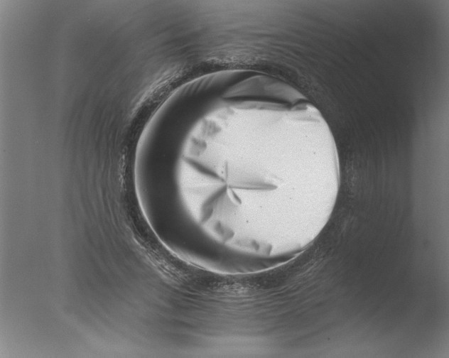X0000076050735200610201918