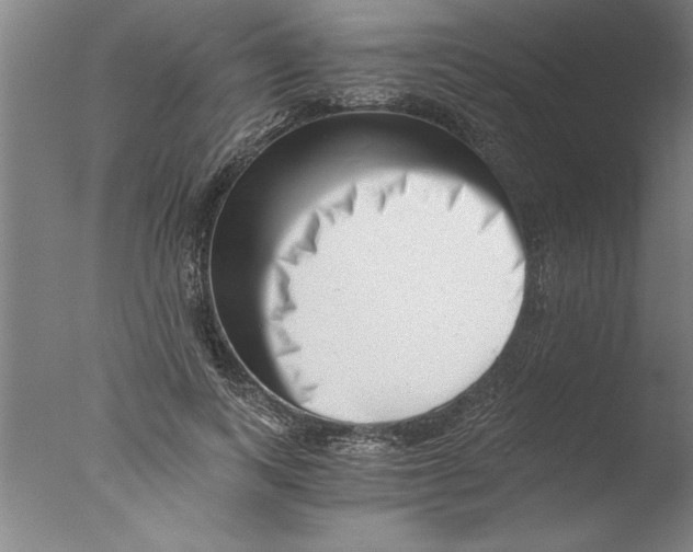 X0000076050743200610201919