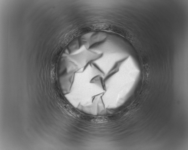 X0000076050745200610201919