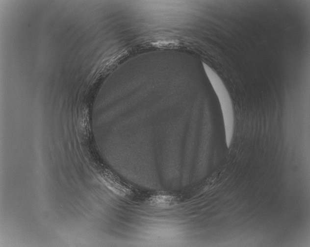 X0000076050748200610201919