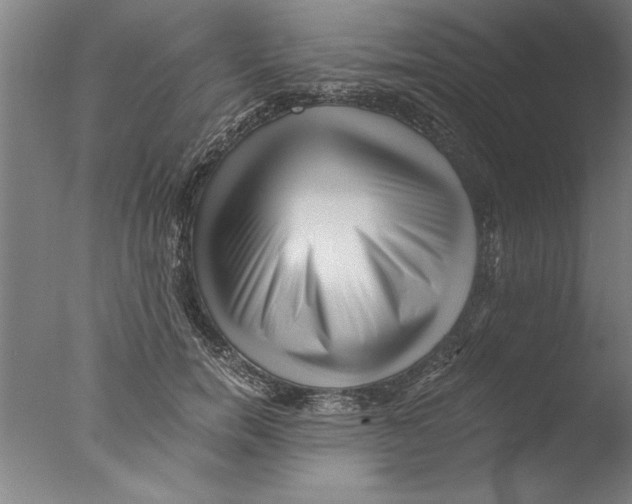 X0000076050750200610201919