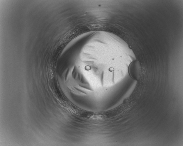 X0000076050751200610201919