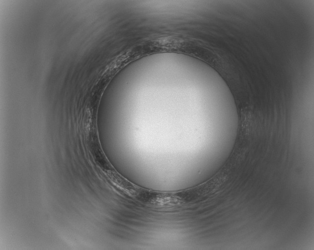 X0000076050752200610201919
