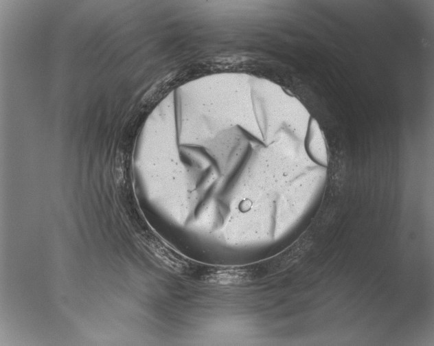 X0000076050758200610201919