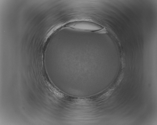 X0000076050781200610201918