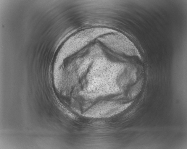 X0000076050798200610201918