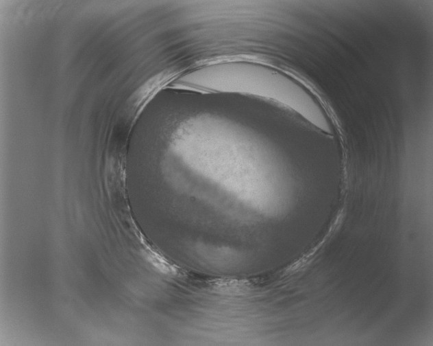X0000076050809200610201918