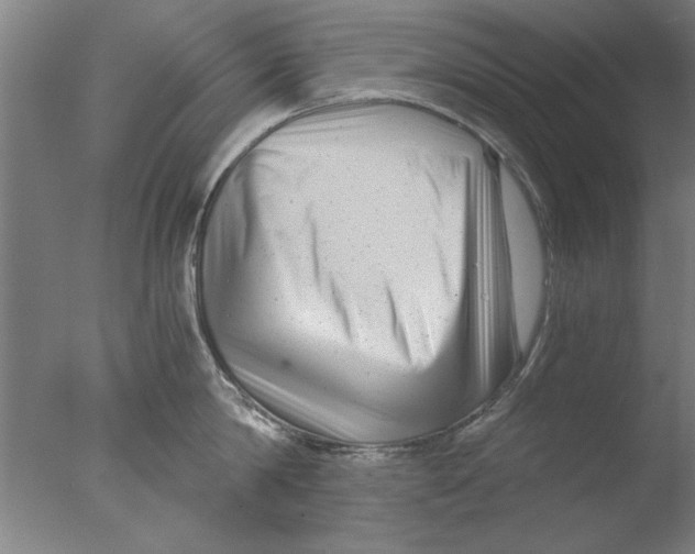 X0000076050814200610201917