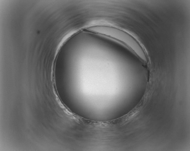 X0000076050815200610201917