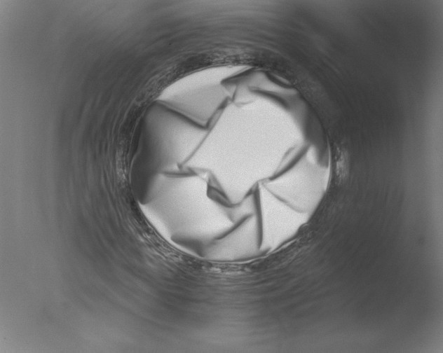X0000076050819200610201917