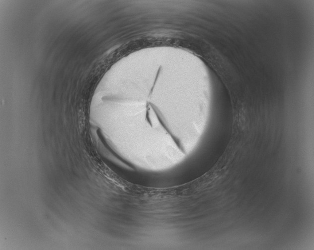 X0000076050821200610201917