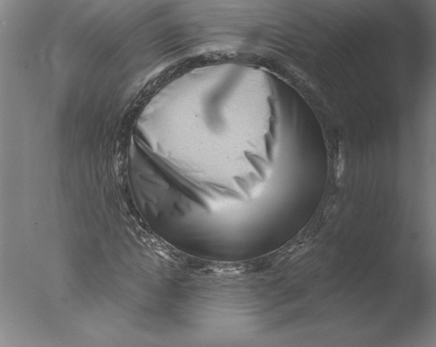 X0000076050822200610201917