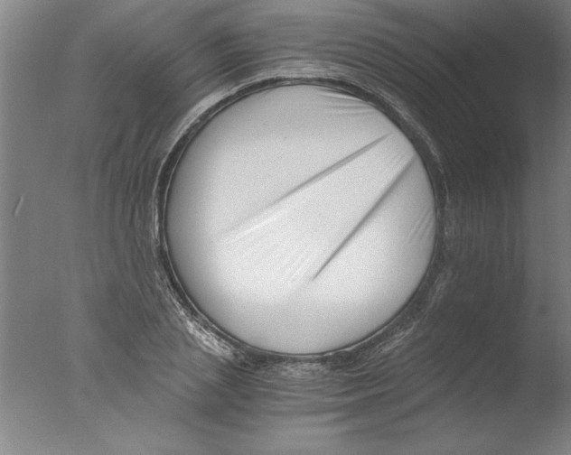 X0000076050837200610201917