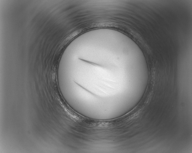 X0000076050841200610201917
