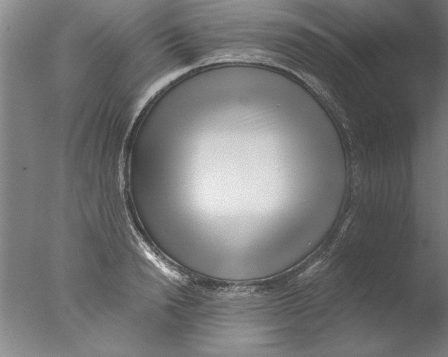 X0000076050846200610201917