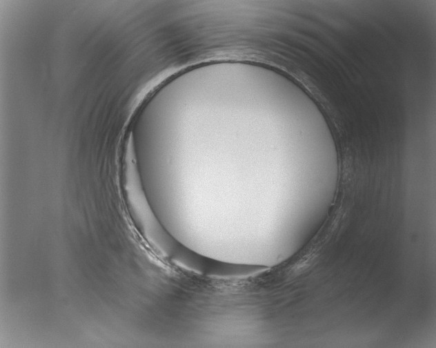 X0000076050854200610201917
