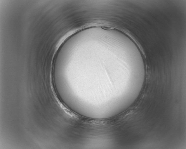 X0000076050861200610201917