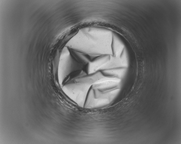 X0000076050872200610201916
