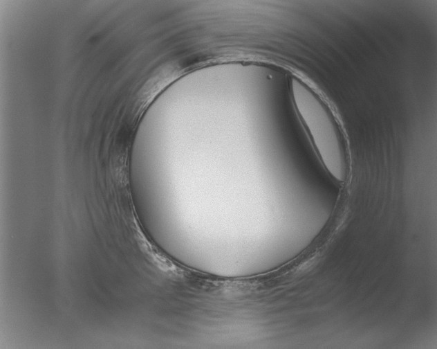 X0000076050905200610201916
