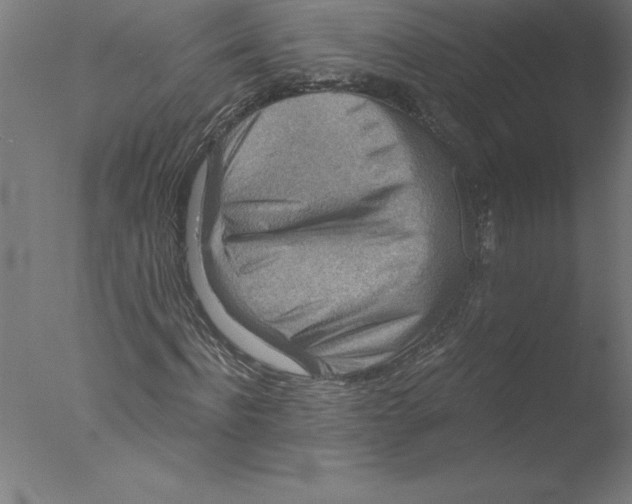 X0000076050916200610201915