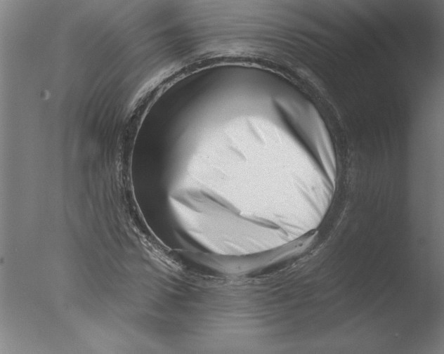 X0000076050922200610201915