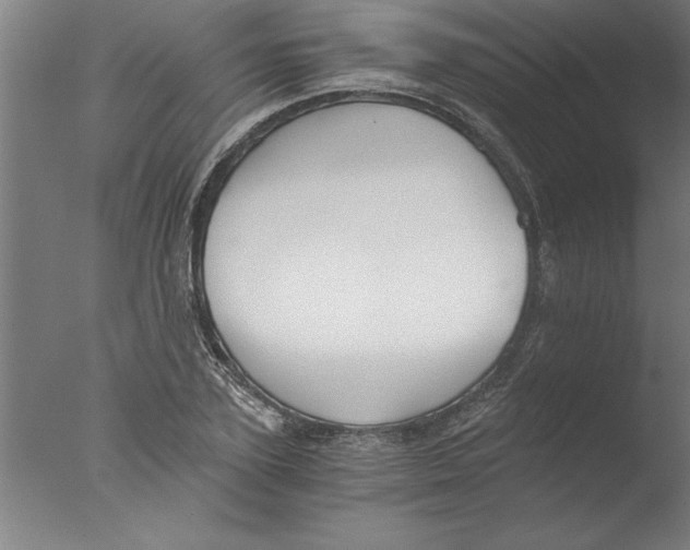 X0000076050931200610201915