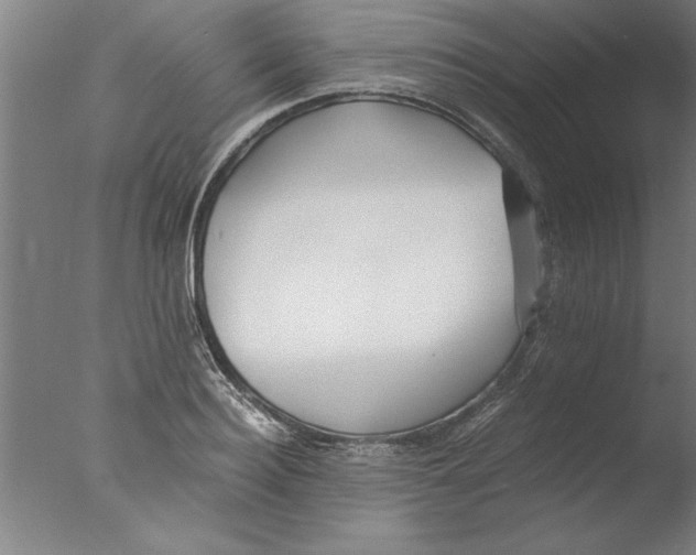 X0000076050940200610201915