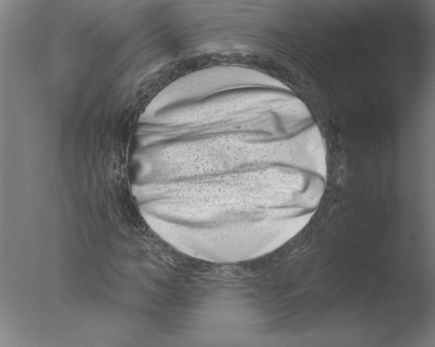 X0000076050966200610201915