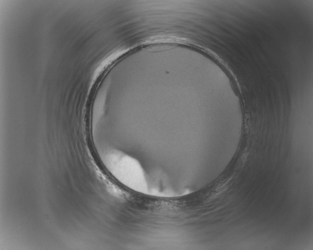 X0000076050995200610201914